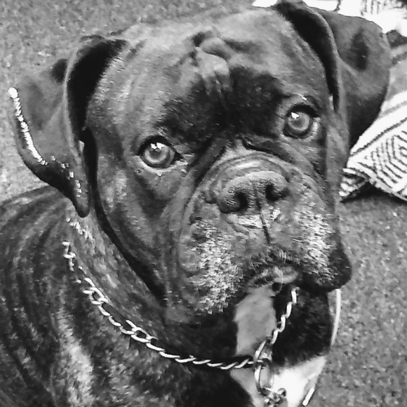 Meet your Posher, John - Picture 3 of 6